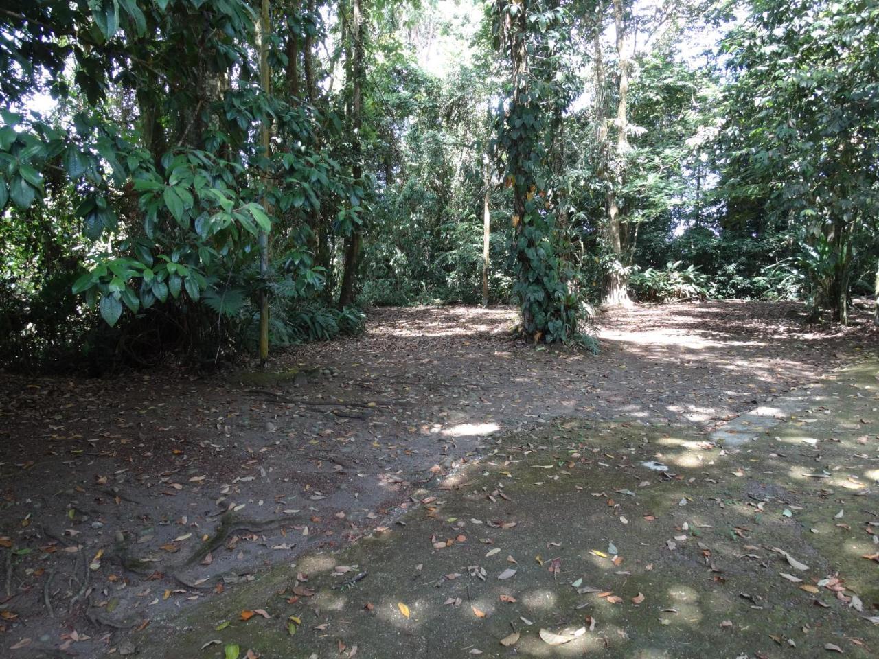 Horquetas River Lodge Sarapiquí 외부 사진