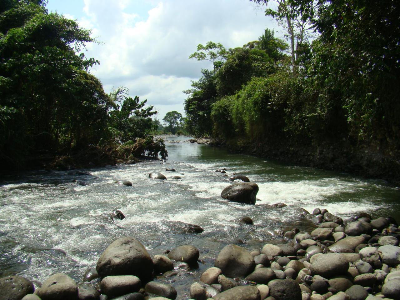 Horquetas River Lodge Sarapiquí 외부 사진