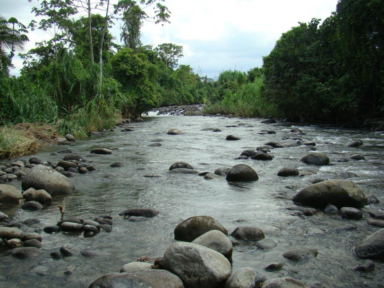 Horquetas River Lodge Sarapiquí 외부 사진