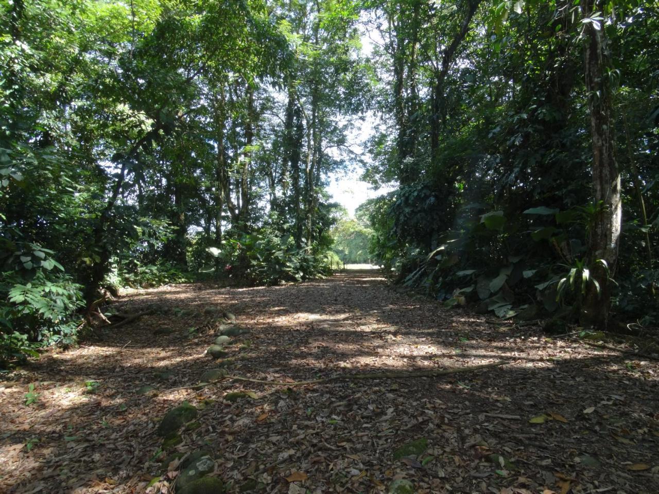 Horquetas River Lodge Sarapiquí 외부 사진