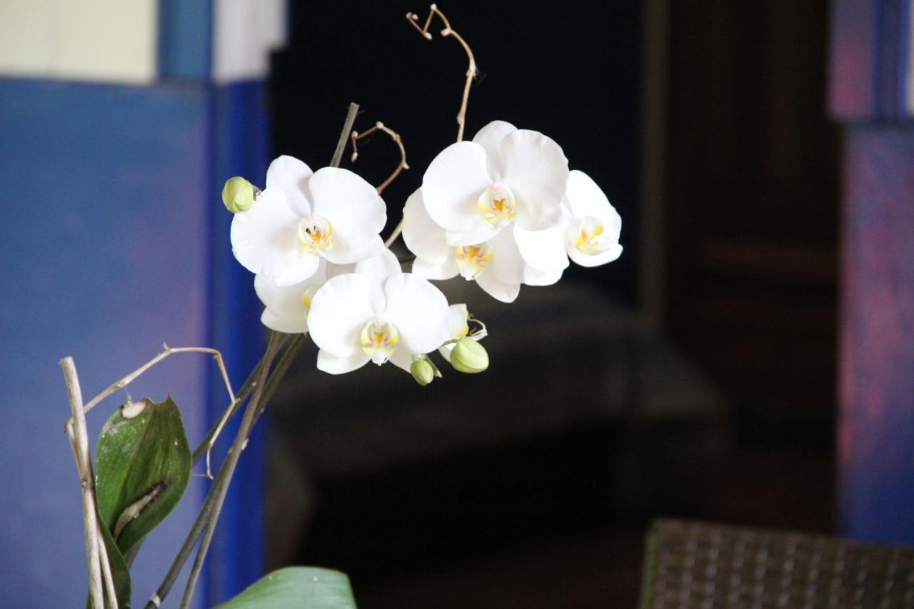 Horquetas River Lodge Sarapiquí 외부 사진