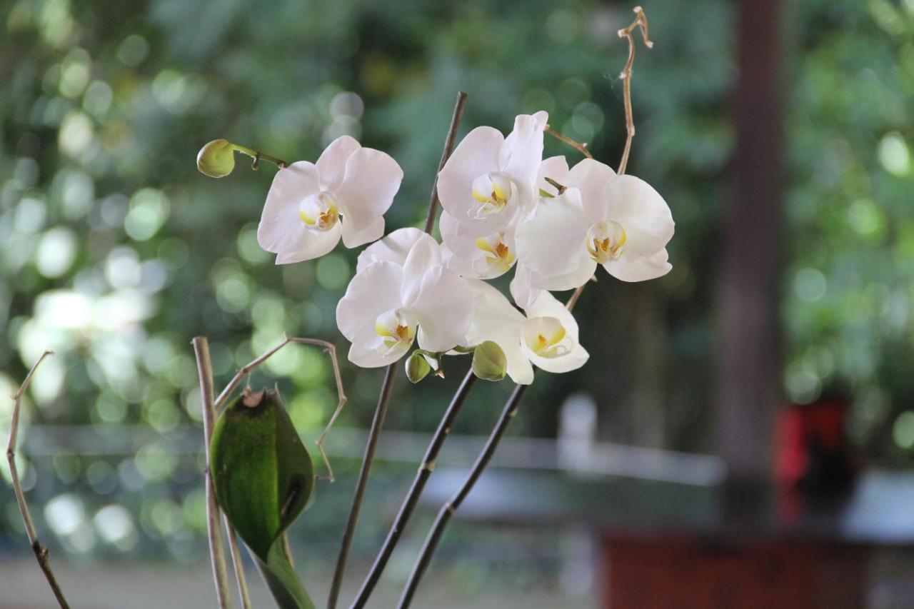 Horquetas River Lodge Sarapiquí 외부 사진