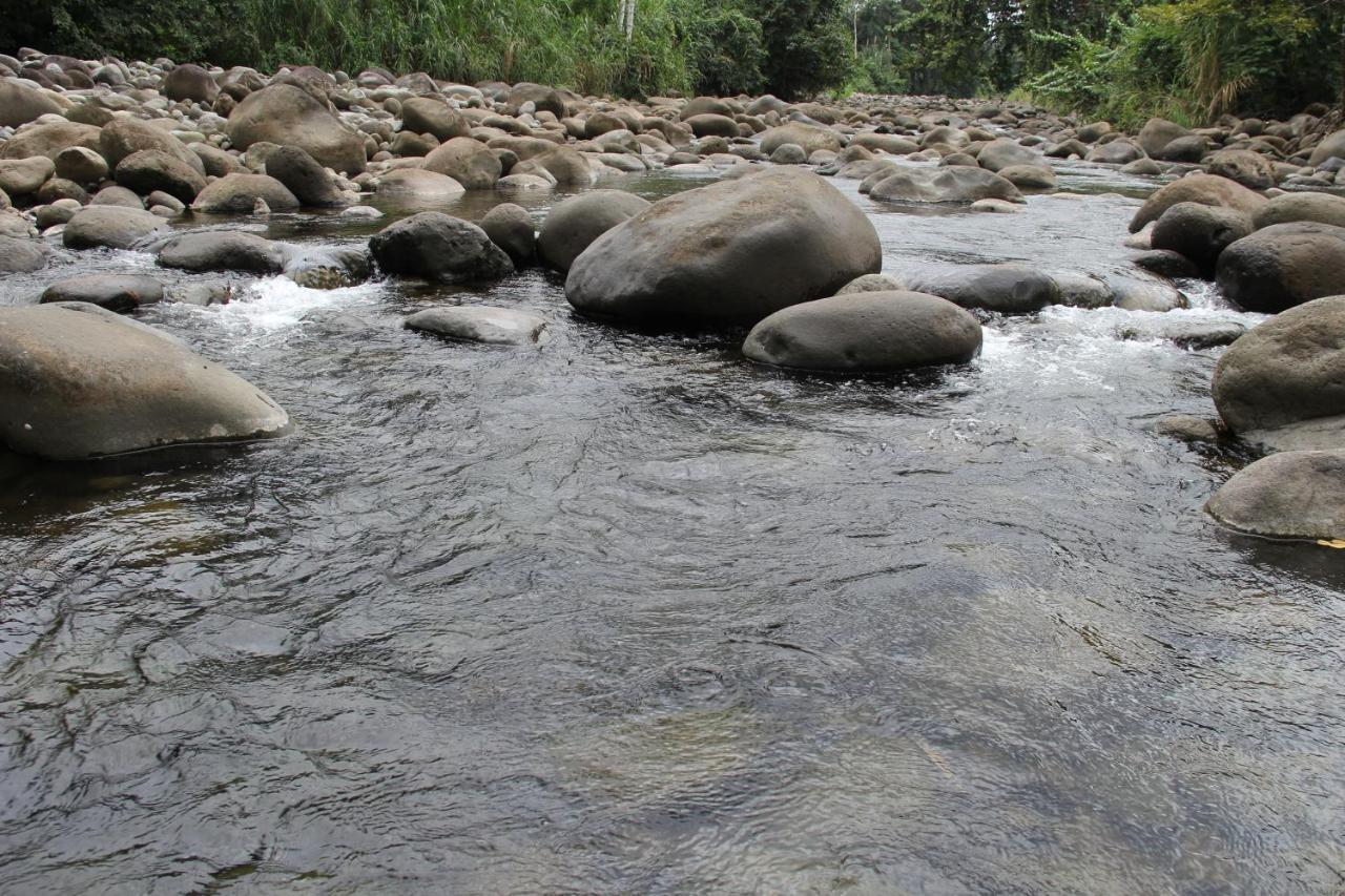 Horquetas River Lodge Sarapiquí 외부 사진