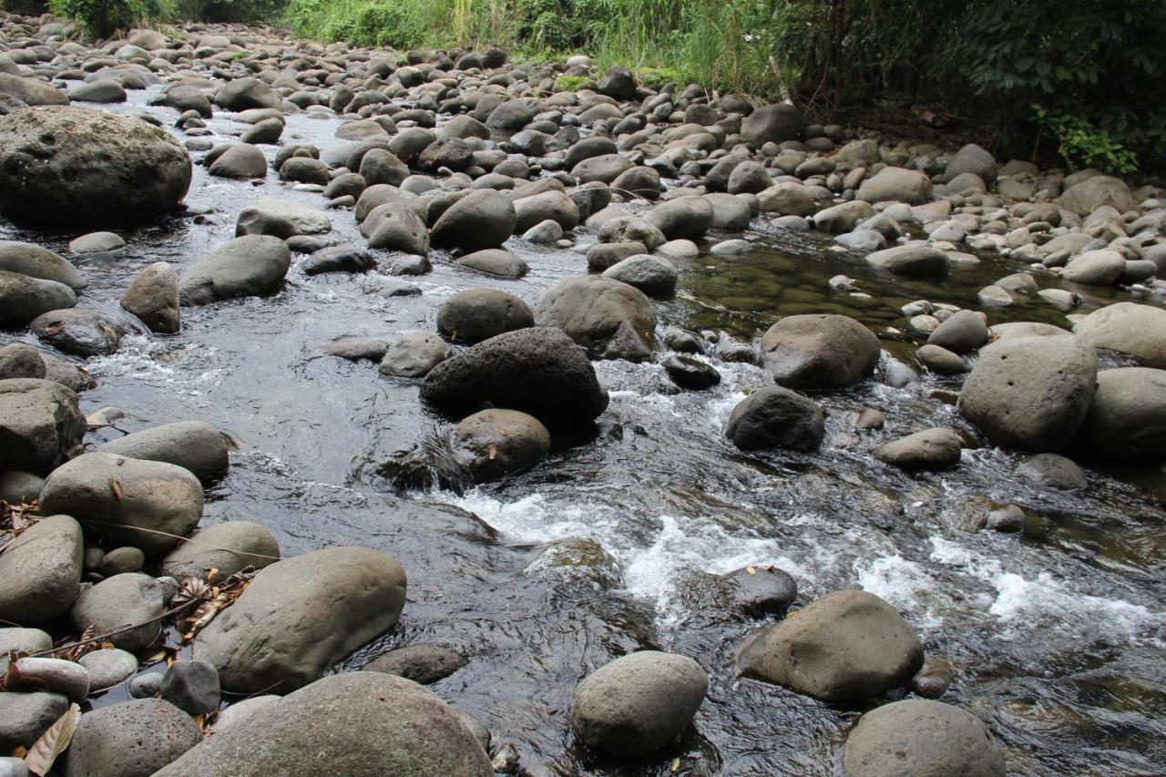 Horquetas River Lodge Sarapiquí 외부 사진