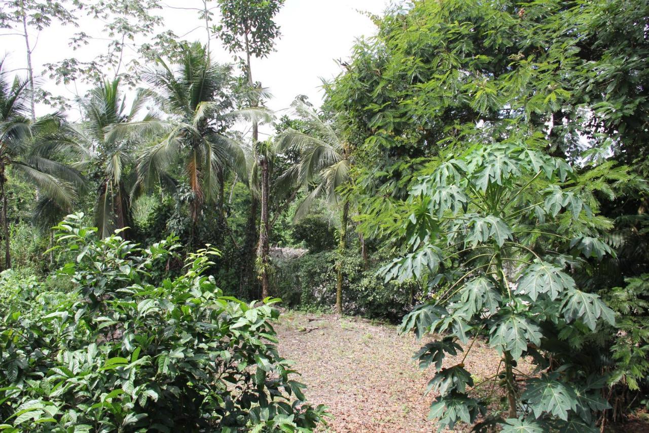 Horquetas River Lodge Sarapiquí 외부 사진