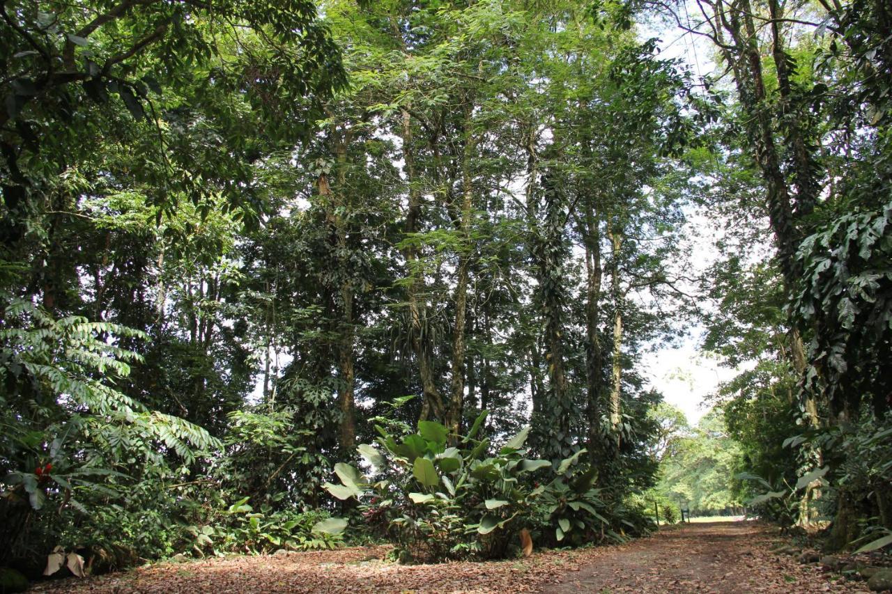Horquetas River Lodge Sarapiquí 외부 사진