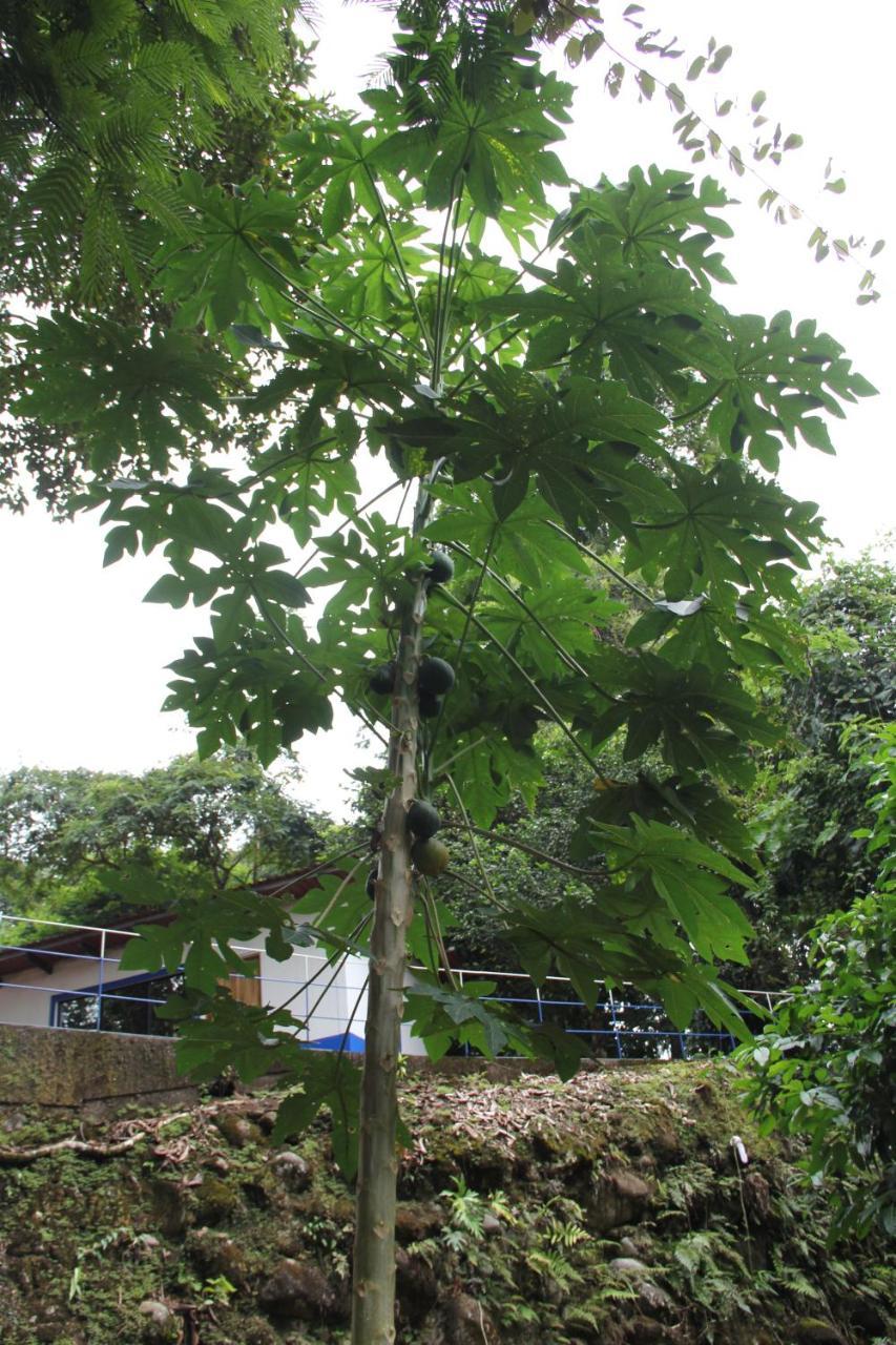 Horquetas River Lodge Sarapiquí 외부 사진