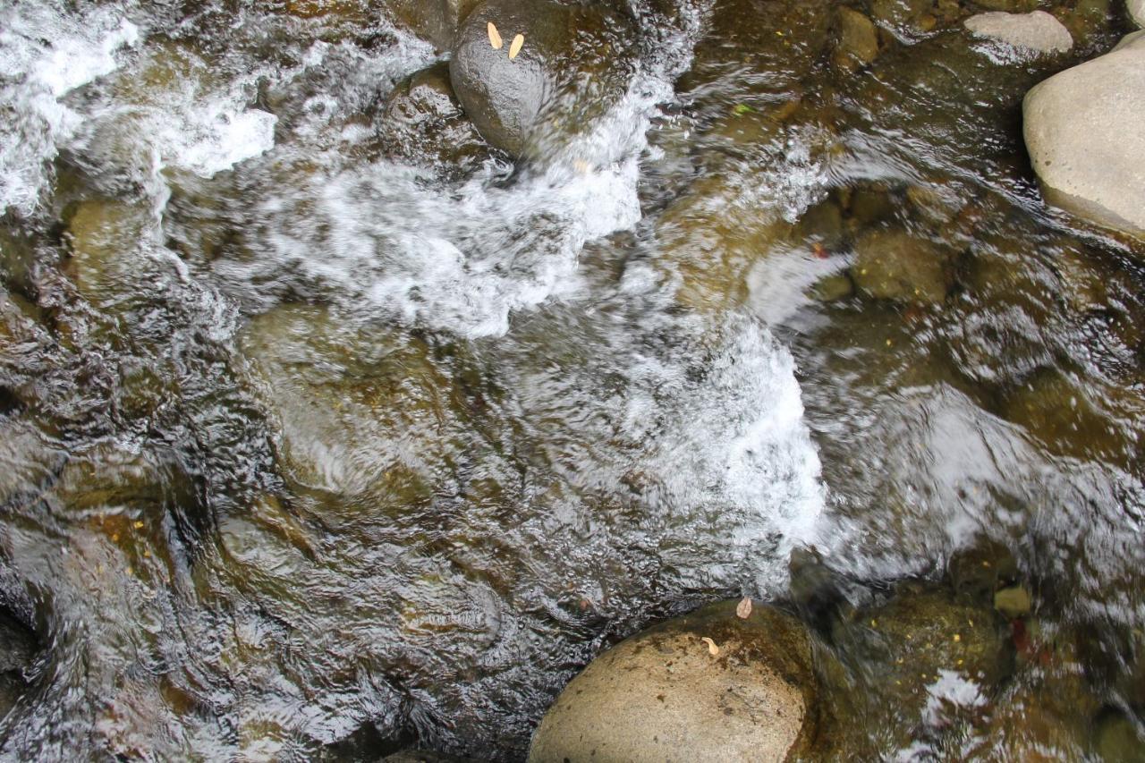 Horquetas River Lodge Sarapiquí 외부 사진