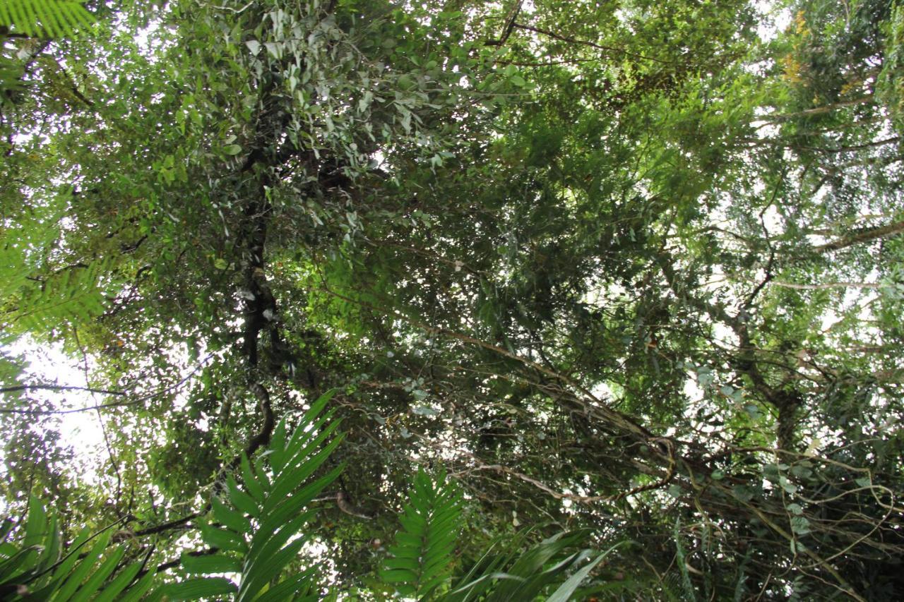 Horquetas River Lodge Sarapiquí 외부 사진