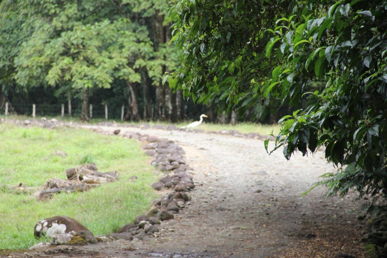 Horquetas River Lodge Sarapiquí 외부 사진