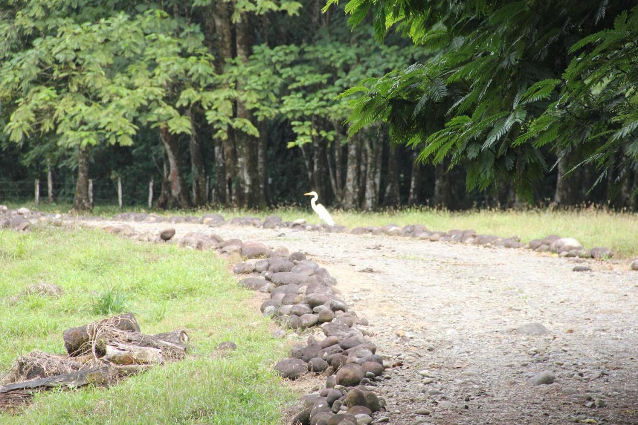 Horquetas River Lodge Sarapiquí 외부 사진
