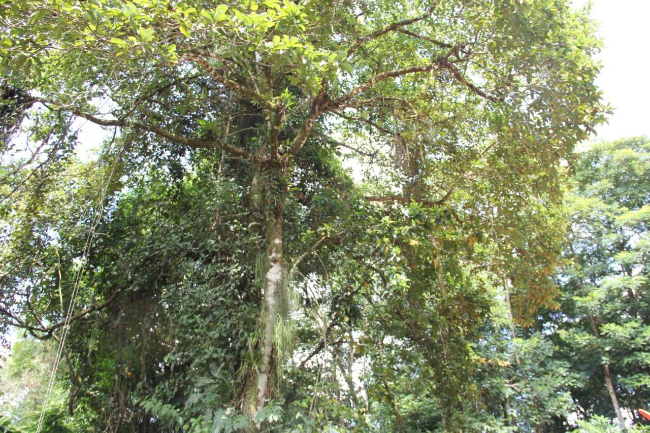 Horquetas River Lodge Sarapiquí 외부 사진