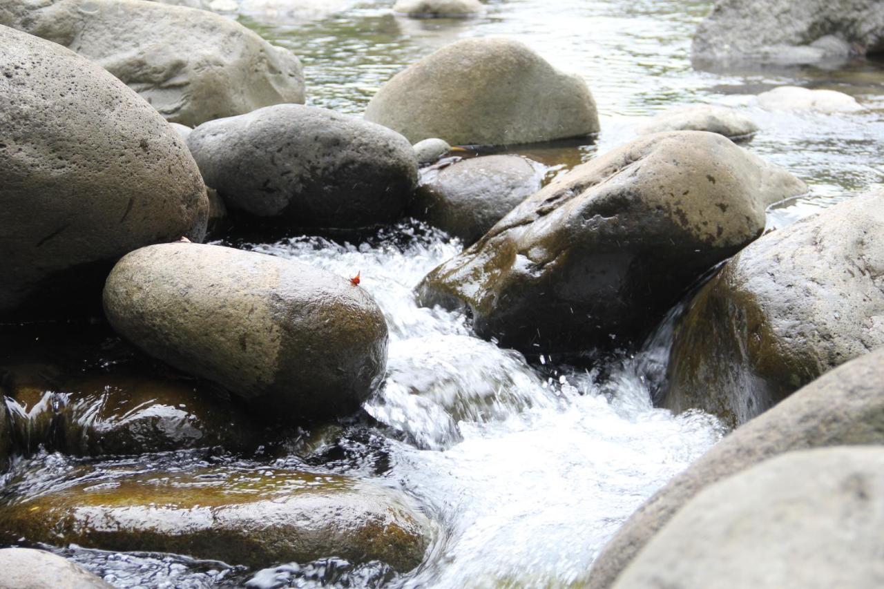 Horquetas River Lodge Sarapiquí 외부 사진