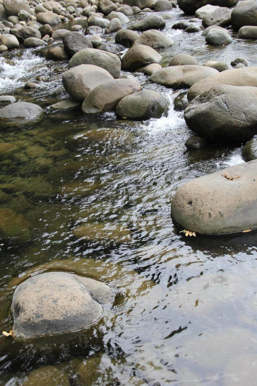 Horquetas River Lodge Sarapiquí 외부 사진